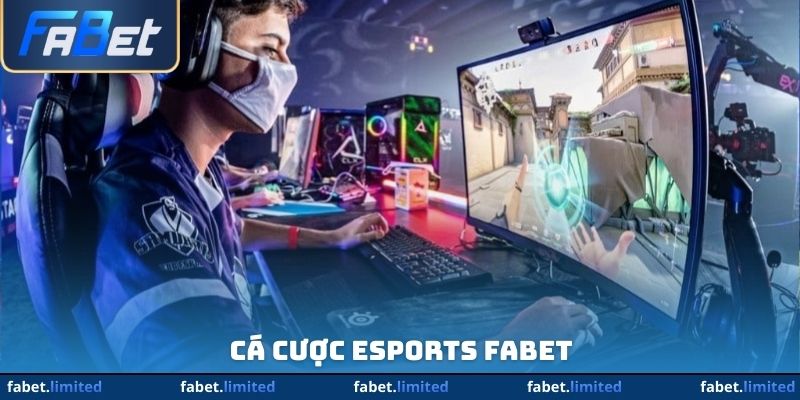 Cá Cược Esports FABET - Lý Do Càng Chơi Càng Khó Dứt